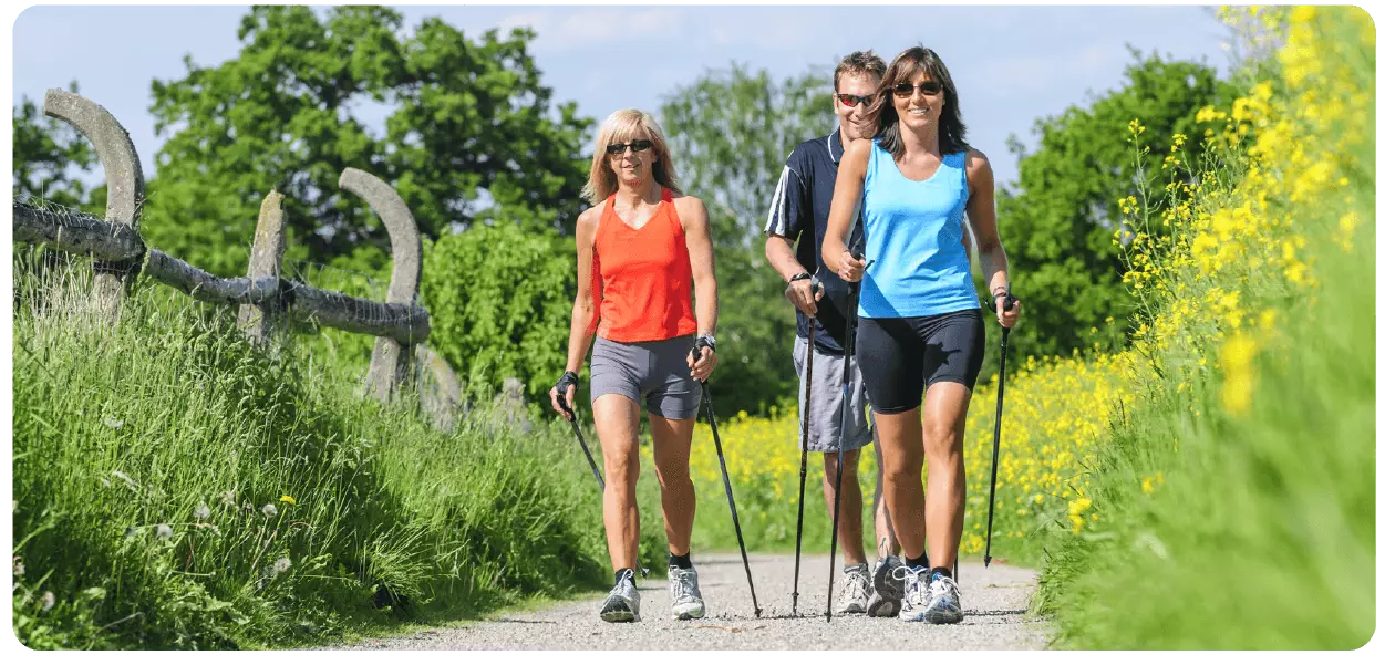 Wandern im Landscheider Wald